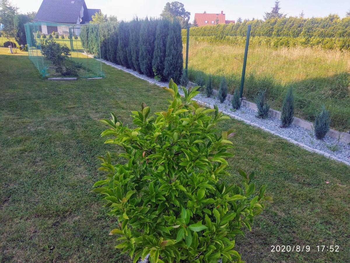 Górskie Marzenie - Zator - Przeciszów - Oświęcim Exterior foto